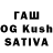 Псилоцибиновые грибы GOLDEN TEACHER Vasil Kovbasnuk