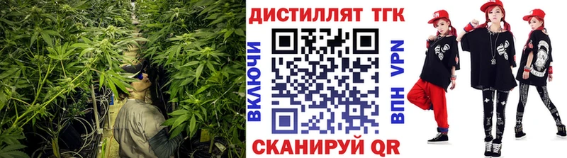 ТГК вейп с тгк  Купить где  Саров 